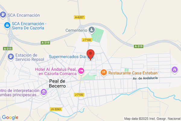 Autoservicio Peal Dia S.L.