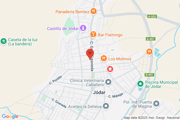 Partido Socialista Obrero Español