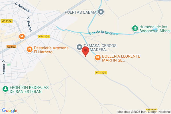 Piñones De Castilla S. A.