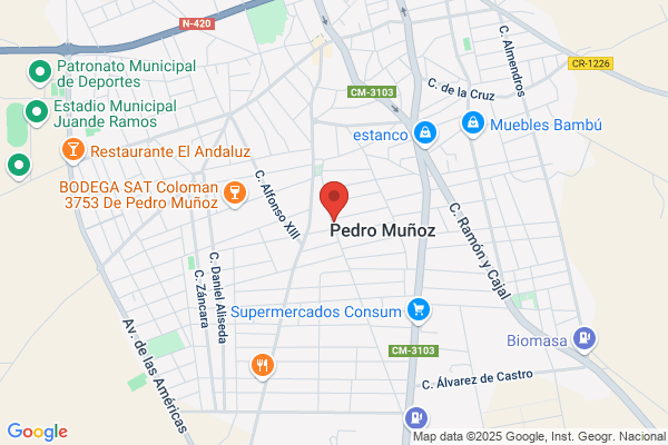 Instalaciones Y Servicios Manchegos S.L.
