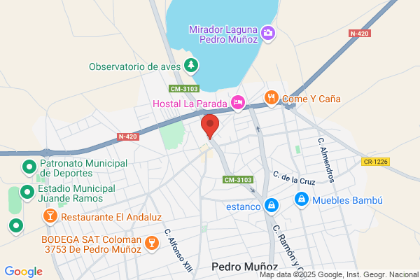 Ayuntamiento De Pedro Muñoz