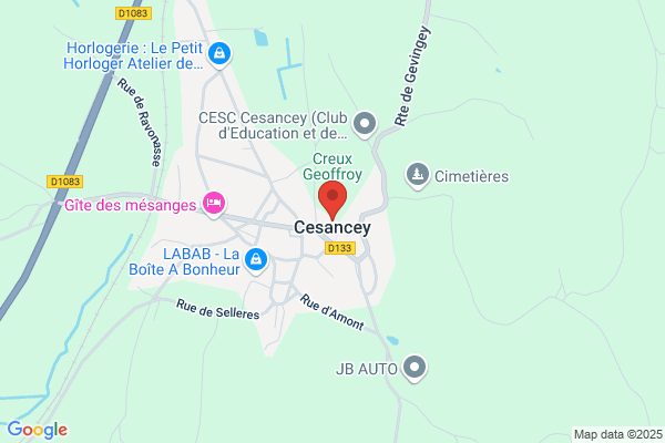 Cesanz S. A.