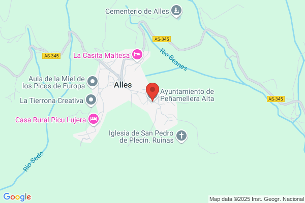Registro General del Ayuntamiento de Peñamellera Alta