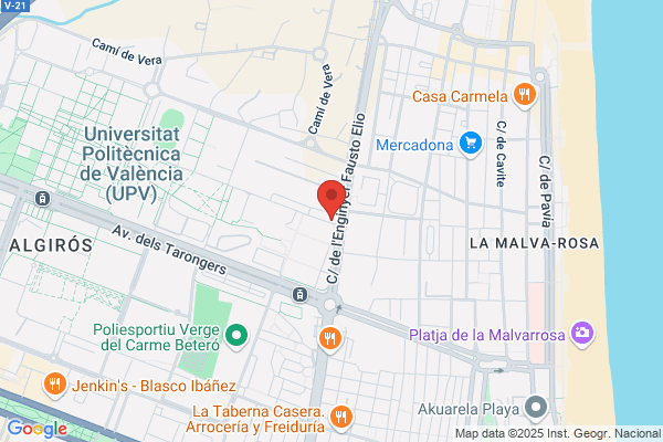 Instituto De Biomecanica De Valencia
