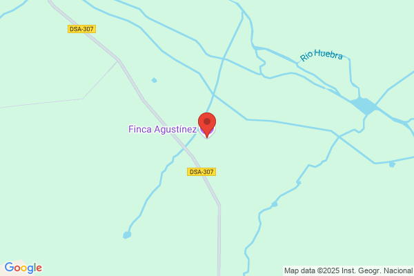 Agustinez S.L.