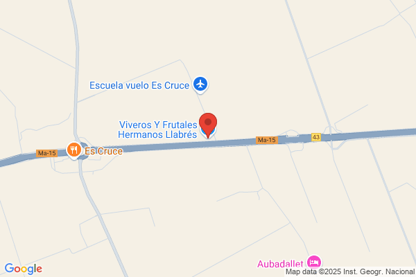 Viveros Y Frutales Hermanos Llabrés