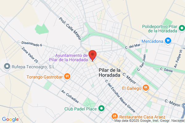 Ayuntamiento De Pilar De La Horadada (Colegio Publico v. Del Pilar)