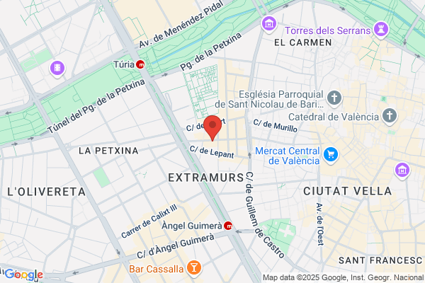Izquierda Unida Del Pais Valenciano