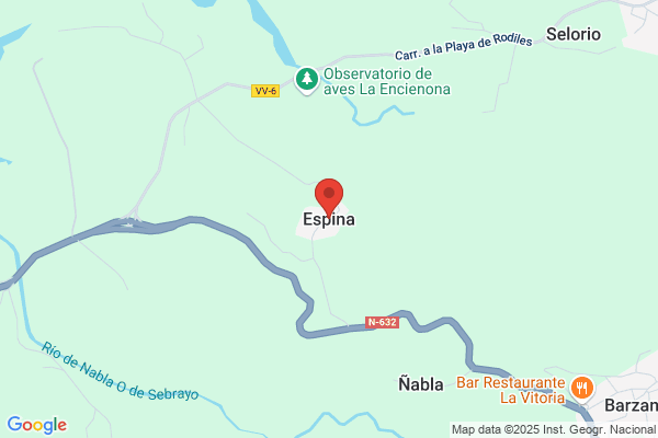 Espina Calvo s.