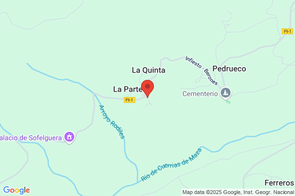 Parrilla El Regueru