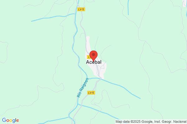 Llano Acebal j. A.
