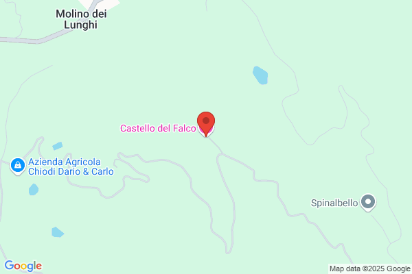 Castello Falco v.