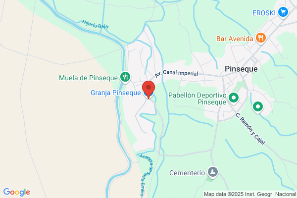 Granja Pinseque S. A.