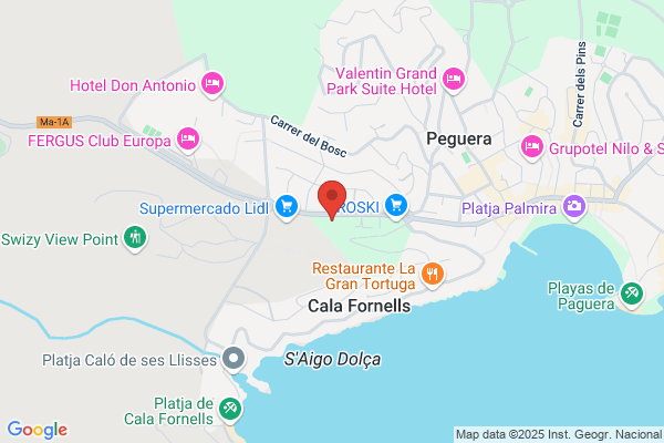 Mallorquina De Gestin Y Consultora, S.L.