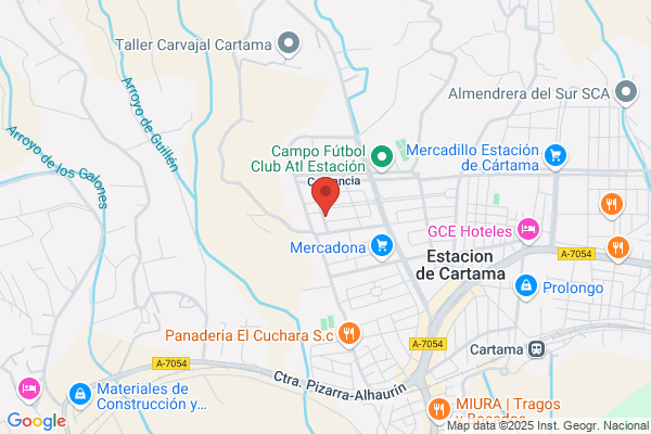 Mancera Garrido m.