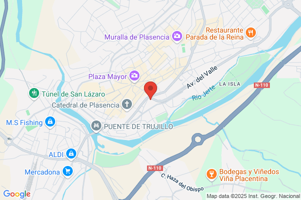 Servicio Municipal De Recaudacion Ayuntamiento De Plasencia
