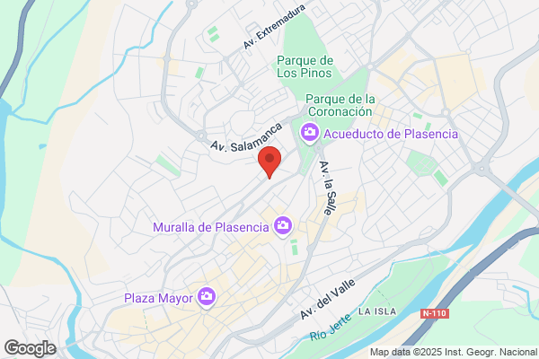Autoescuela Avenida - Clases Teoricas Mañanas Y Tardes