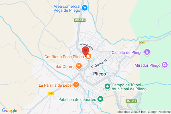 Colegio Nacional Pascual Martinez Abellan
