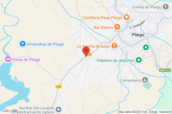 Estación De Servicio De Pliego - Ser. Domicilio gasoleo en 24 horas
