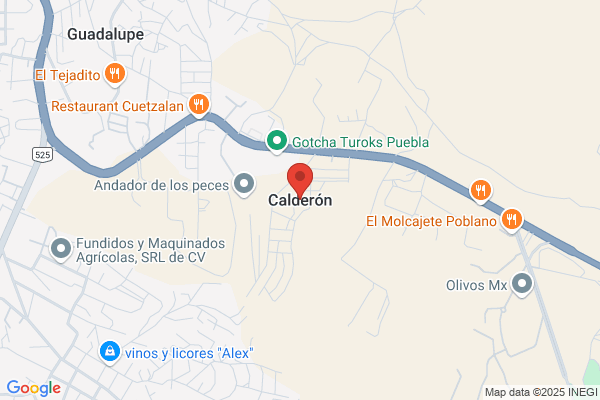 Calderon Puebla p.