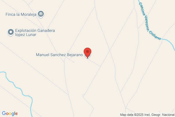 Bejarano Sanchez a.