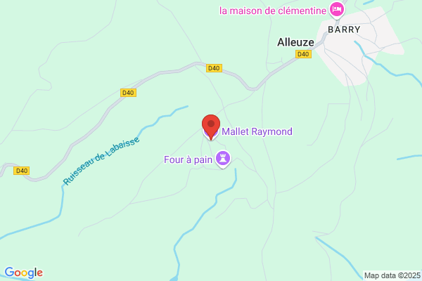 Mallet raymond