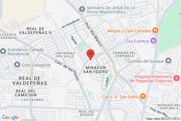 Macias Diente m.