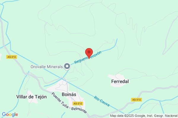 Rio Narcea Gold Mines S.A.