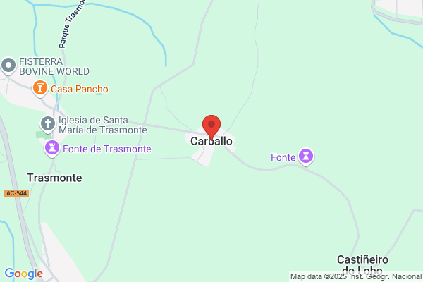 Carballo Brage a.
