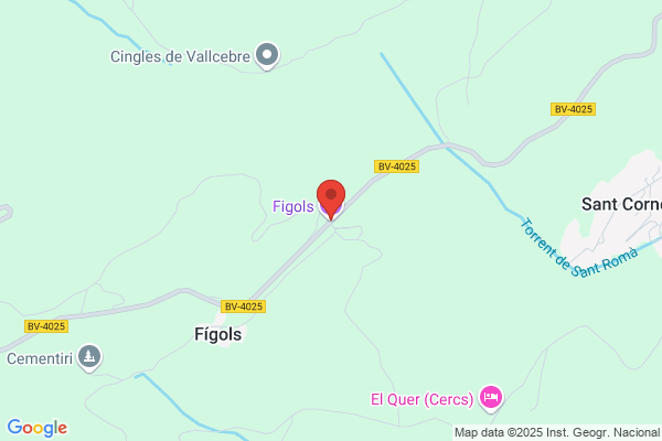 Figols Activitats Turisticas S.L.