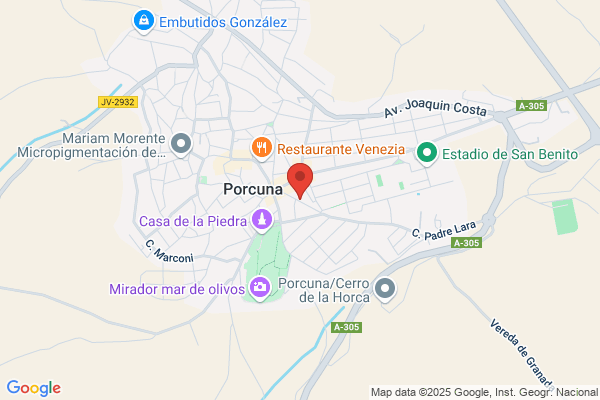 Caballos Castilla j.