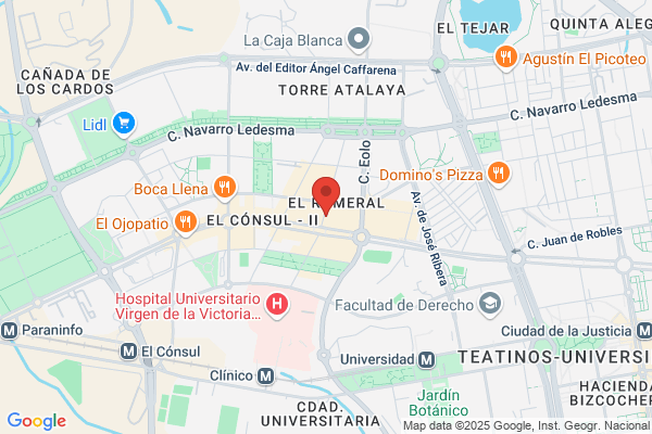 Biznaga