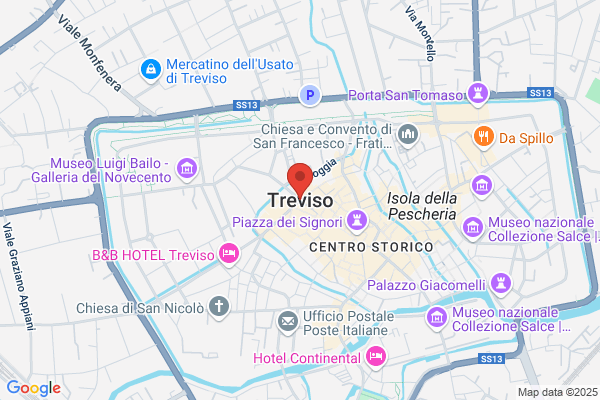 Treviso S. A.