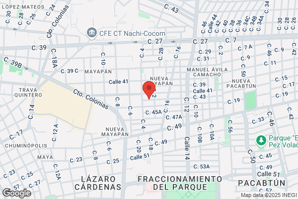 Tamayo Castillo d.