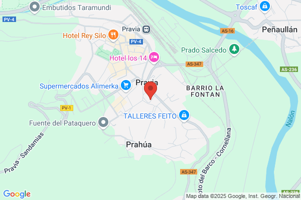 Registro auxiliar en la Oficina Comarcal de Pravia