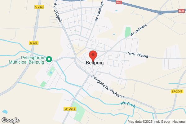 Ayuntamiento De Bellpuig. Escuelas
