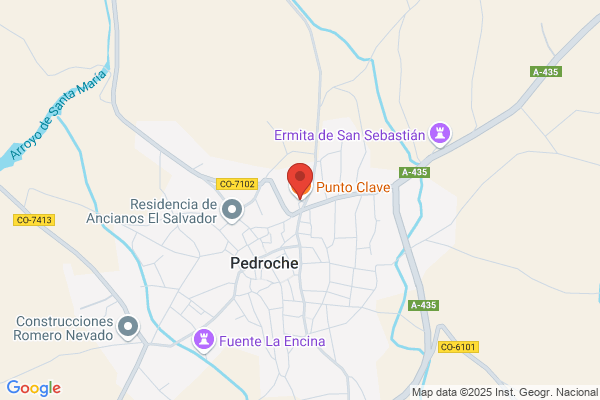 Pedroche Bar S.L.