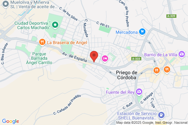 Autoescuela Priego S.L.