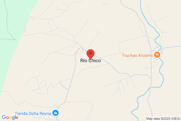 Chico Puebla e.