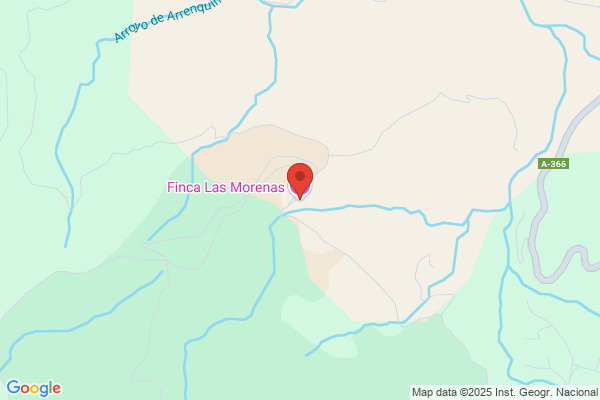 Fincas Las Morenas S.A.