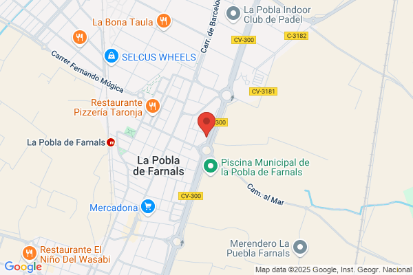 Fedesma Multiservicios