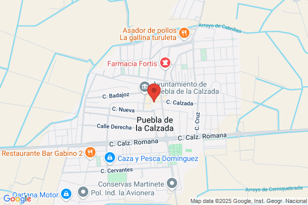 Nueva Autoescuela S. A.