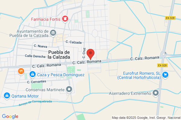 Sociedad De Transportistas De Puebla S.L.