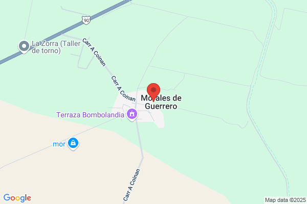 Morales Guerrero a.