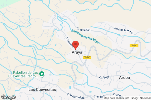 Araya Terraza i.