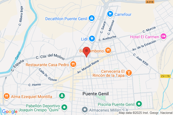 Autorrecambios Del Genil S.L.