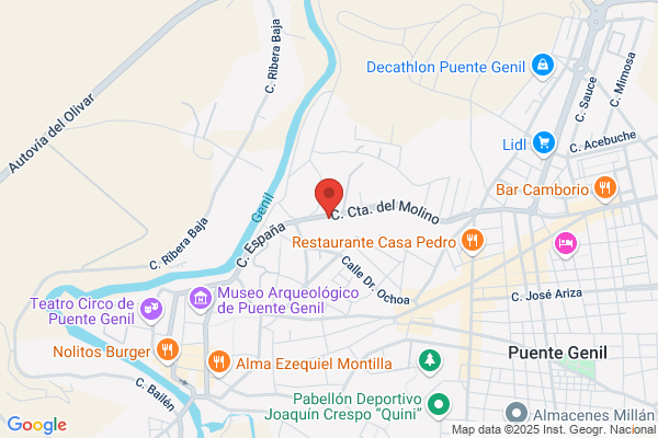 Puenteauto Genil S.L.