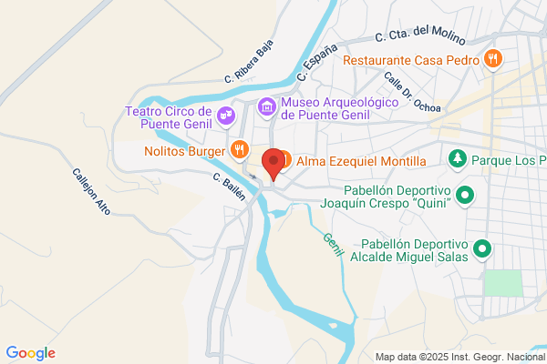 Ayuntamiento De Puente Genil
