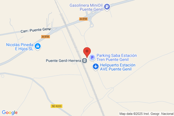 Taxispuentegenil