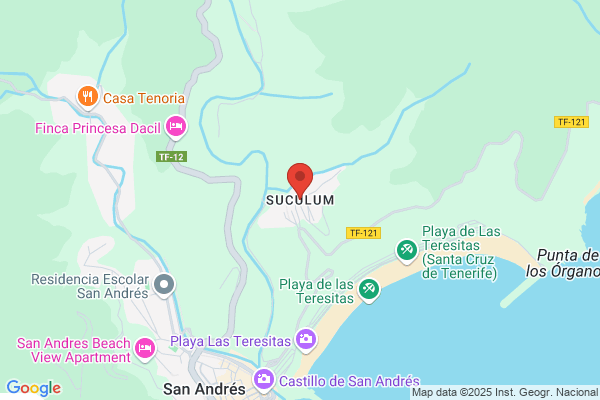Suculum 2000 S.L.